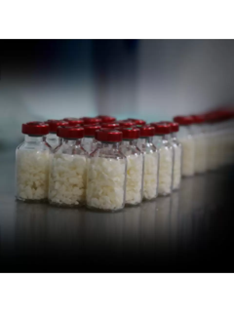 DBM & MBA Granule(DFDBA & FDBA)