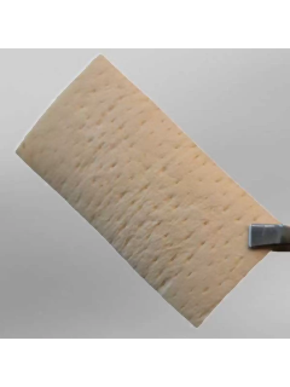 Acellular Dermis Membrane