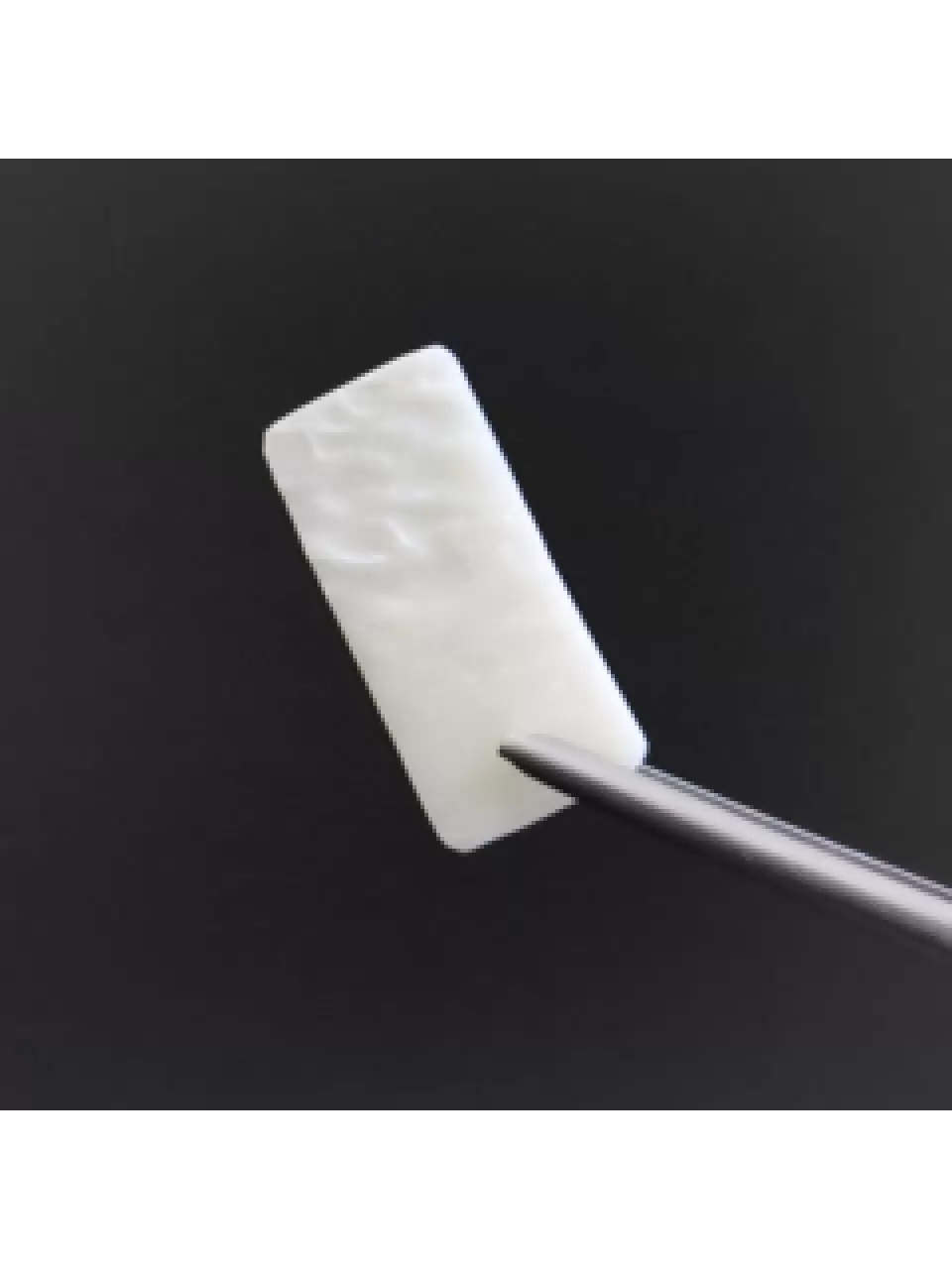 MBA Cortical Plate
