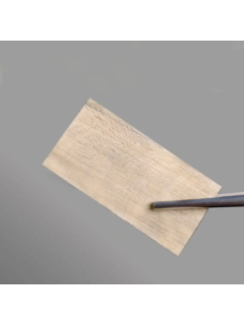 Fascia Lata Membrane